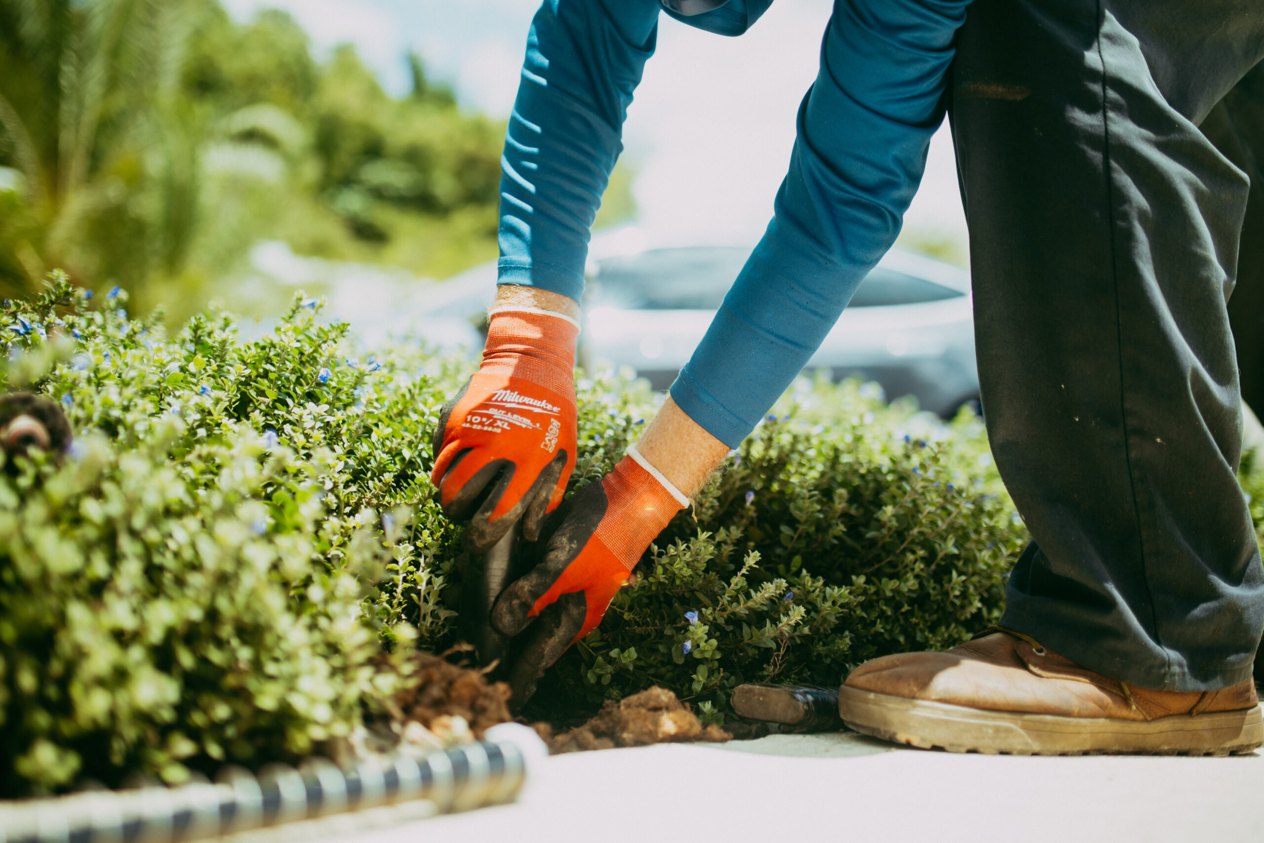 Trabajo de landscaping Green North Enterprises